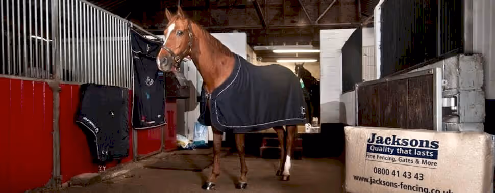 Horse Shavings 20kg