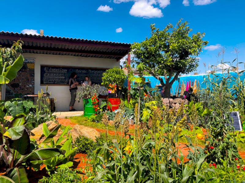 Camfed RHS garden