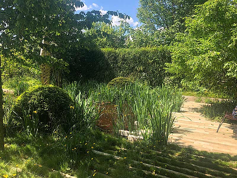 mature trees in gardens