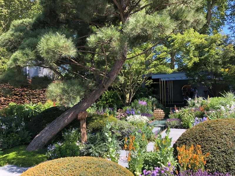 Planting colour scheme