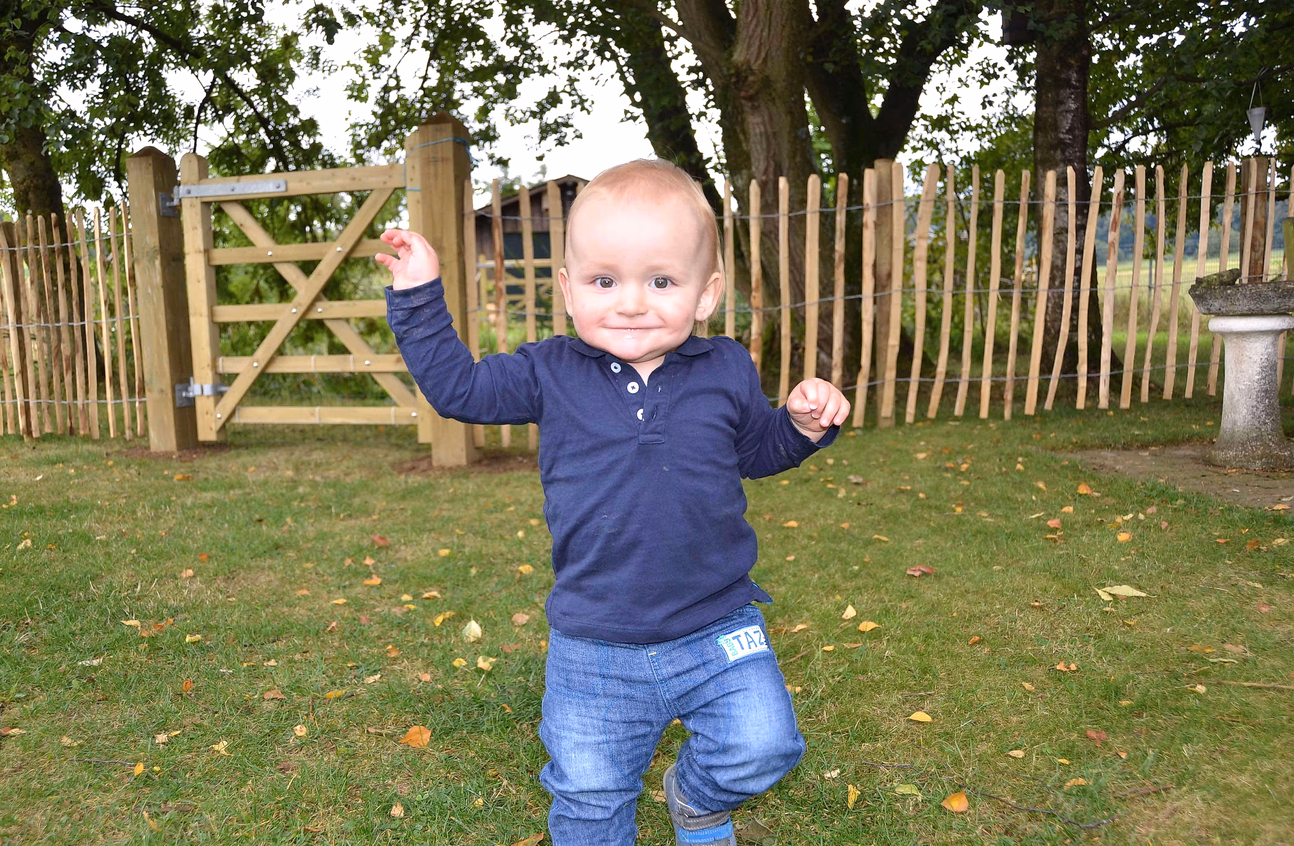 Franks grandson with chesnut fencing