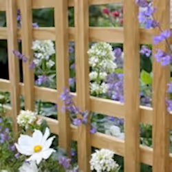 Tartan trellis