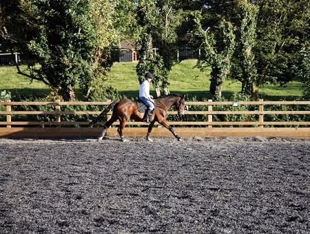 Equestrian Riding Arena