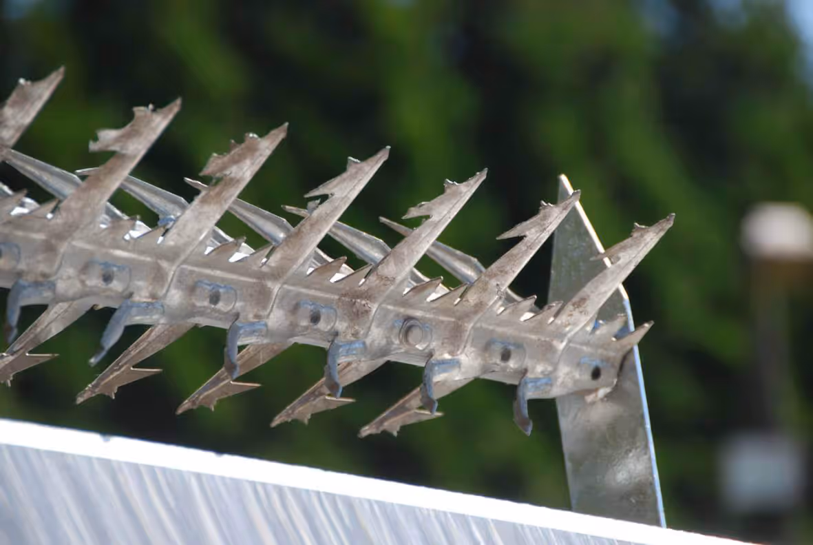 Cobra Spike Rotary