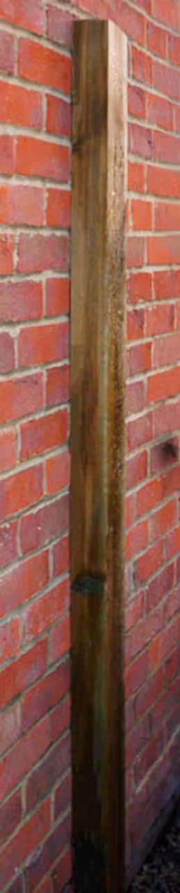 Wall Plate