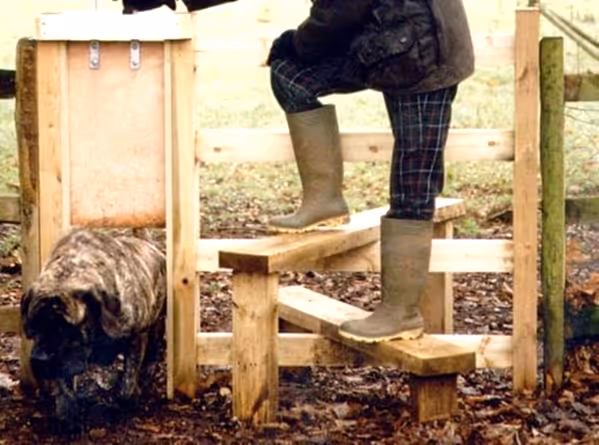 Stile with dog gate
