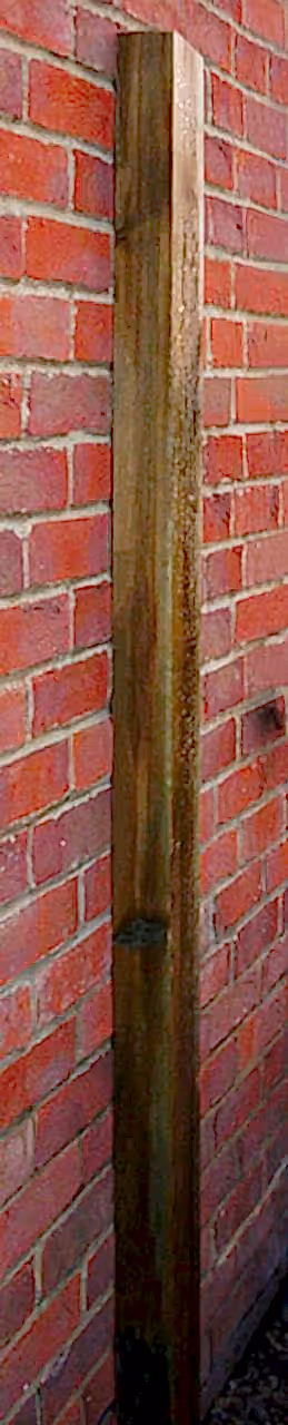 Wall Plate