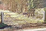 Metal field gate BCBEAX