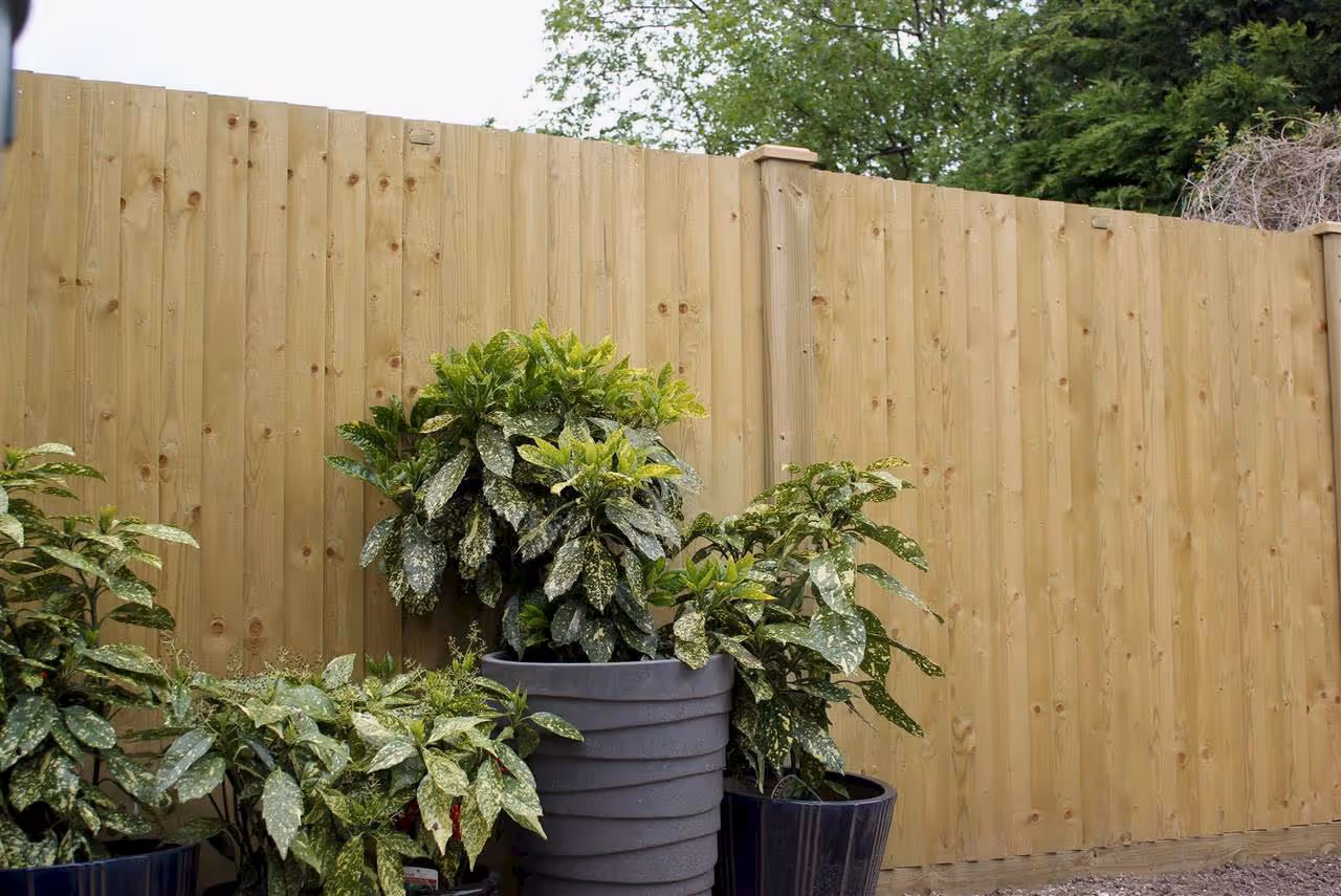 Featherboard Closeboard Fencing Panels