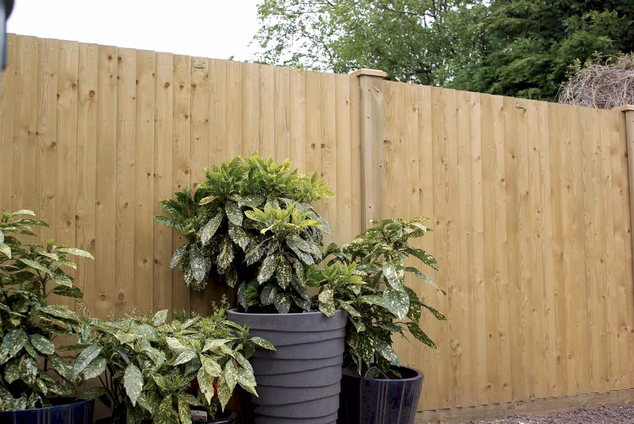Featherboard Closeboard Fencing Panels