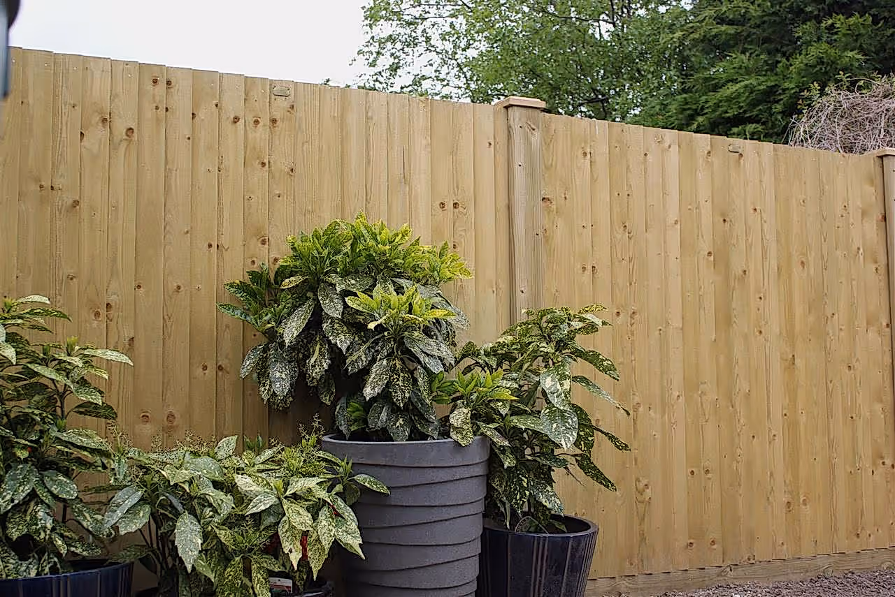 Featherboard Closeboard Fencing Panels
