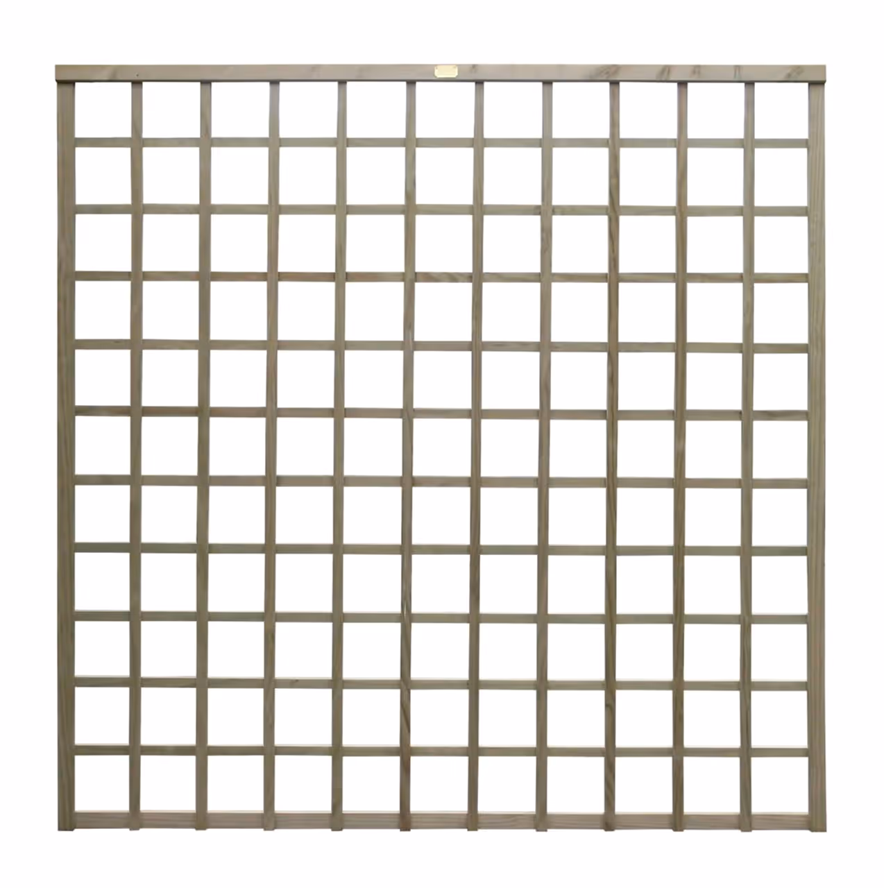 638500 - Trellis_standard